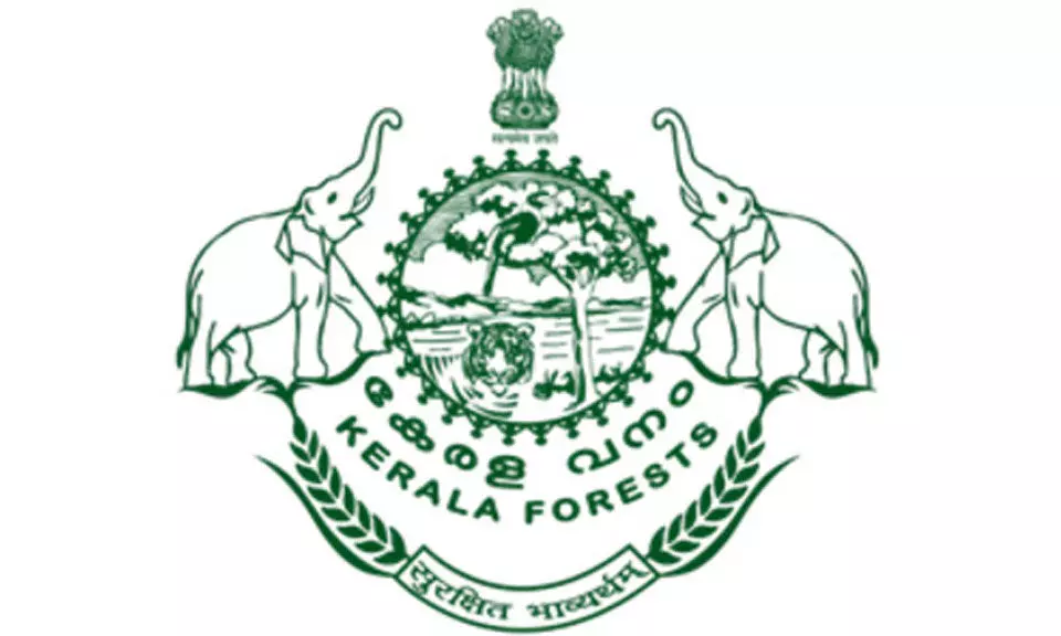 പുതിയ വനംമേധാവി: അന്തിമപട്ടികയിൽ ഗംഗാസിങ്ങും ജയപ്രസാദും