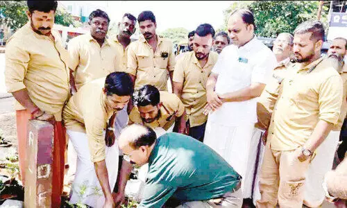 മാലിന്യത്തിന് വിട;   ഈ പാതയോരത്ത് ചെണ്ടുമല്ലി വിരിയും