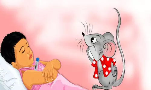 എ​ലി​പ്പ​നി​; ജാ​ഗ്ര​ത വേ​ണം