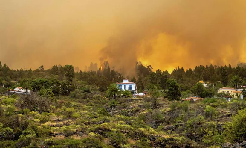 2000 evacuated in La Palma wildfire in Spains Canary Islands official says blaze out of control