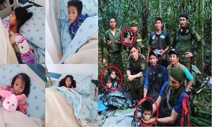 Children who survived 40 days in Amazon jungle released from hospital in ‘perfect’ physical health Children who survived 40 days in Amazon jungle released from hospital in ‘perfect’ physical health