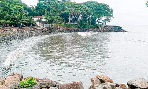 ഫോർട്ട്​കൊച്ചി മഹാത്മാഗാന്ധി കടപ്പുറം അവഗണനയുടെ പടുകുഴിയിൽ