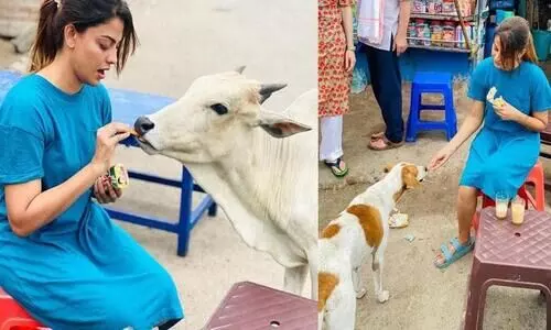 Actress Anusree  Shares  Rameswaram Pic