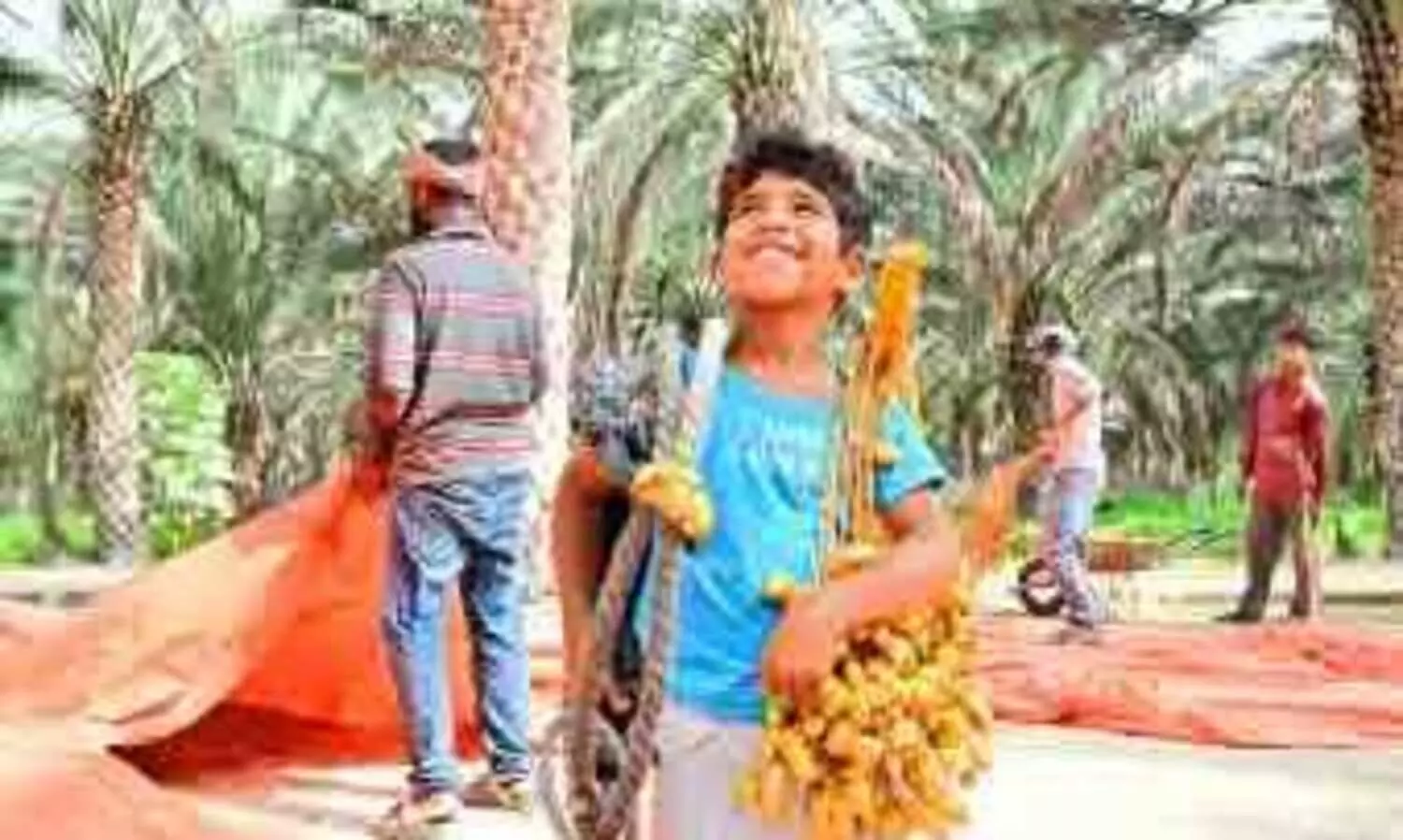 ബി​ദി​യ​ക്ക്​ ഉ​ത്സ​വ​മാ​യി  ‘ത​ബ്സീ​ൽ’