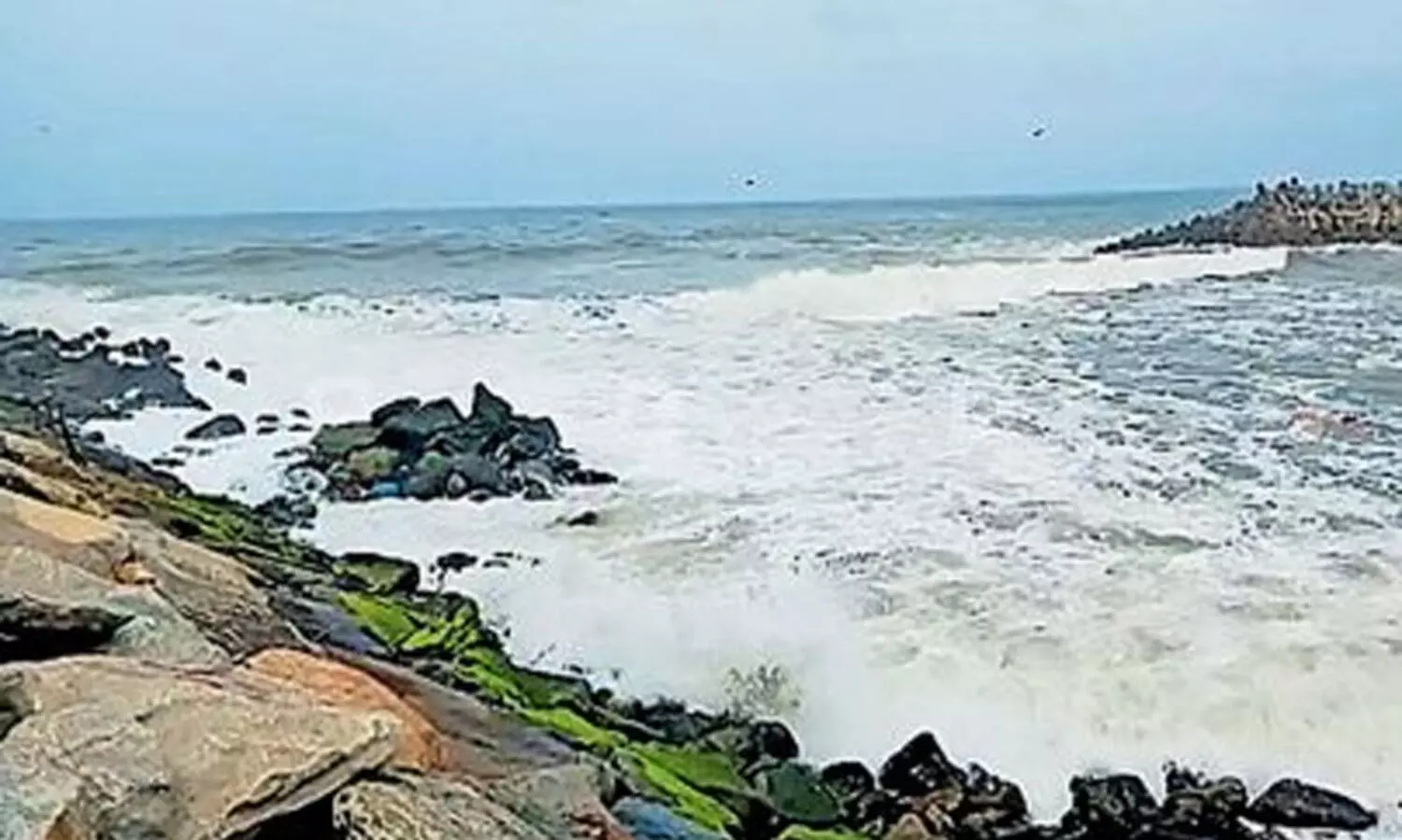 മുതലപ്പൊഴിയില്‍ കേന്ദ്രസംഘമെത്തി; ശാശ്വത പരിഹാരമുണ്ടാക്കാന്‍ ശ്രമമെന്ന് വി.മുരളീധരന്‍