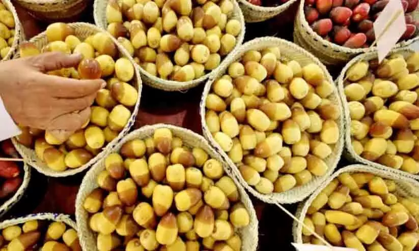 ലിവ ഈത്തപ്പഴ ഫെസ്റ്റിവലിന് അല്‍ദഫ്റ റീജ്യനില്‍ ഇന്നു തുടക്കം