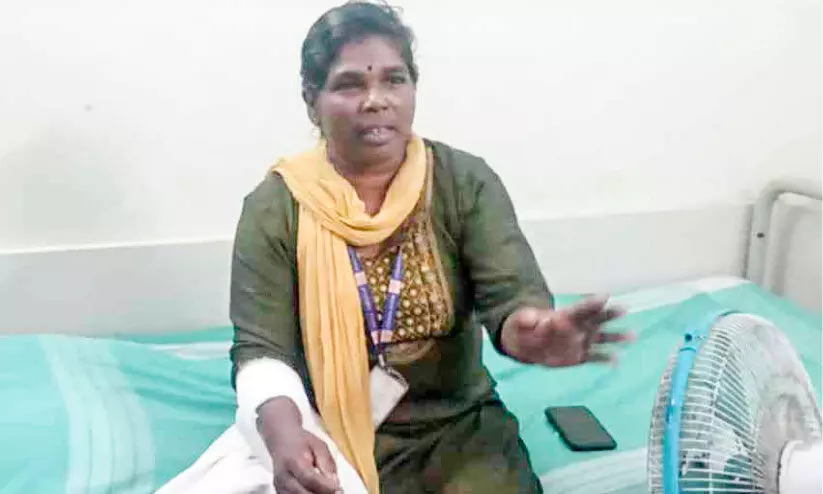 തെരുവുനായ് ആക്രമണത്തിൽ ആശുപത്രി ജീവനക്കാരിക്ക് പരിക്ക്