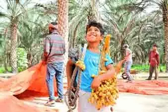 ബി​ദി​യ​ക്ക്​ ഉ​ത്സ​വ​മാ​യി  ‘ത​ബ്സീ​ൽ’