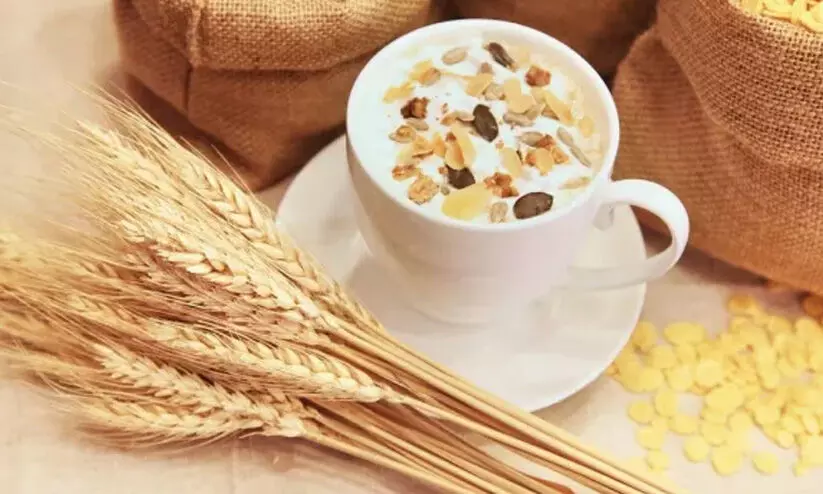 യുക്രെയ്ൻ ധാന്യനീക്ക ഉടമ്പടി പുതുക്കാതെ റഷ്യ; ഭക്ഷ്യപ്രതിസന്ധി രൂക്ഷമാകാനും വിലക്കയറ്റത്തിനും കാരണമാകും യുക്രെയ്ൻ ധാന്യനീക്ക ഉടമ്പടി പുതുക്കാതെ റഷ്യ; ഭക്ഷ്യപ്രതിസന്ധി രൂക്ഷമാകാനും വിലക്കയറ്റത്തിനും കാരണമാകും