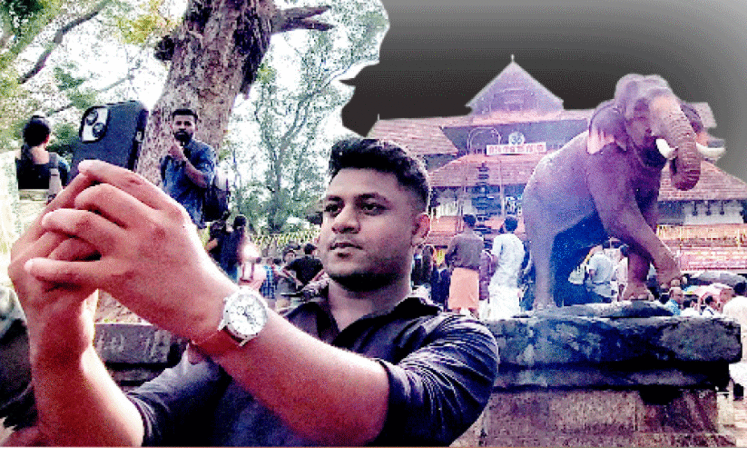 Elephants without decorations.