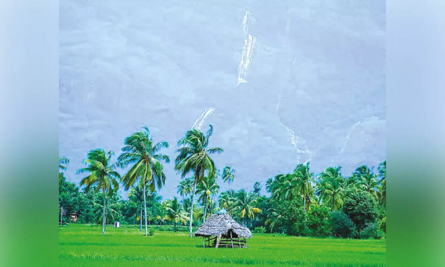 സഞ്ചാരികളുടെ ഒഴുക്ക്; പുലിവാല് പിടിച്ച് കൊല്ലങ്കോട്ടുകാർ