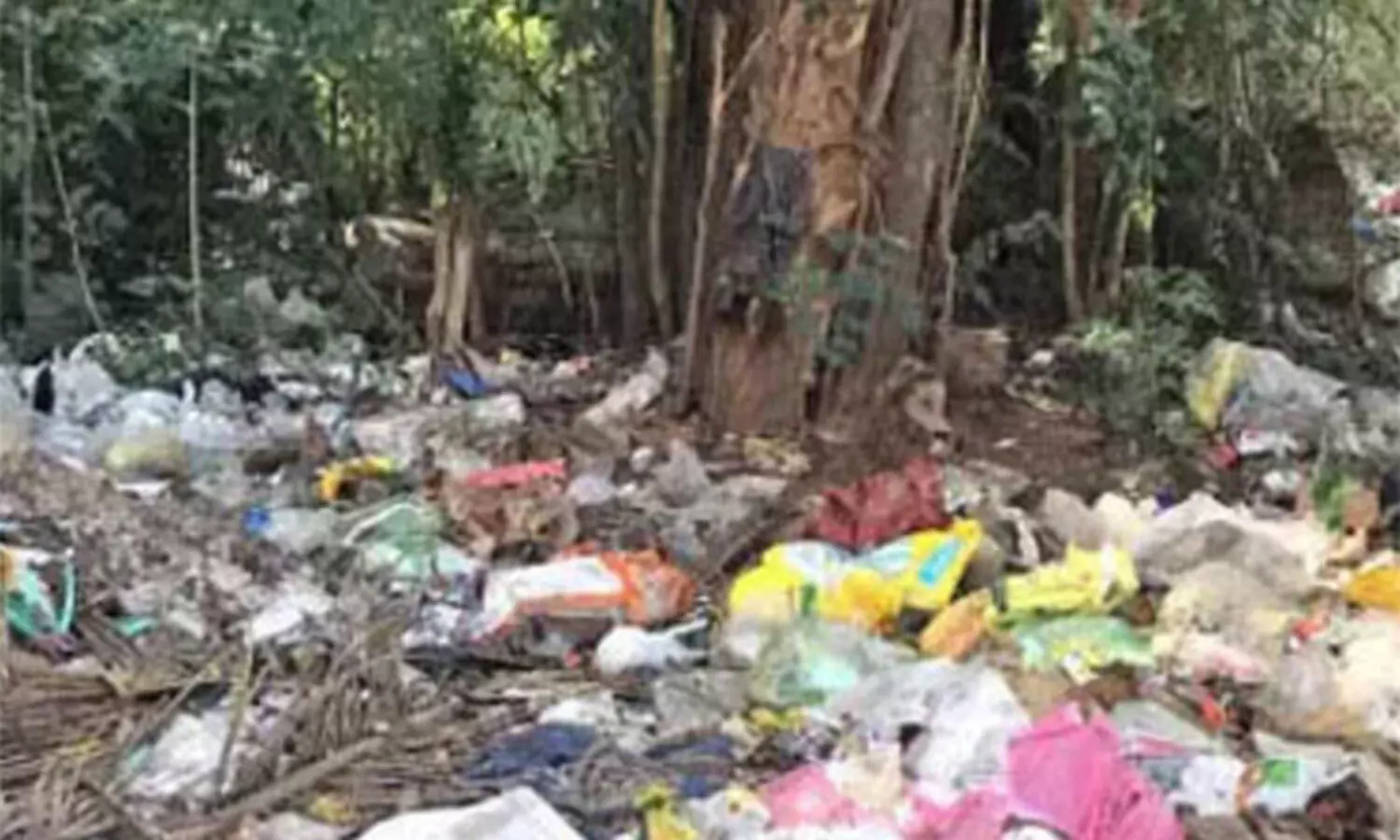 മാലിന്യം തള്ളൽ: കൊച്ചിയിൽ ആറ് കേസ് കൂടി രജിസ്റ്റർ ചെയ്തു