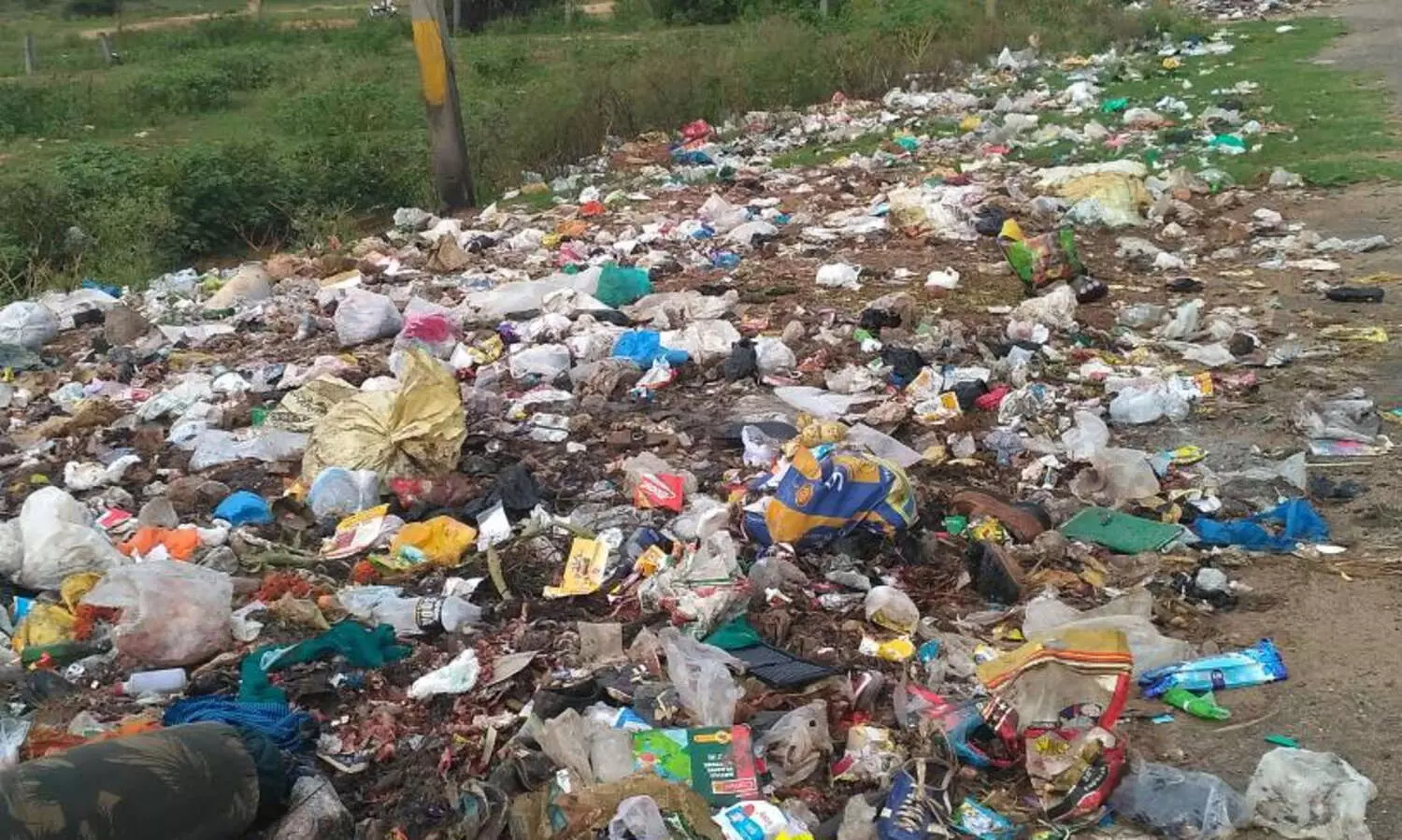 പൊതുസ്ഥലത്ത് മാലിന്യം തള്ളൽ: കടുങ്ങല്ലൂർ ഗ്രാമപഞ്ചായത്ത് 1.18 ലക്ഷം രൂപ പിഴ ചുമത്തി