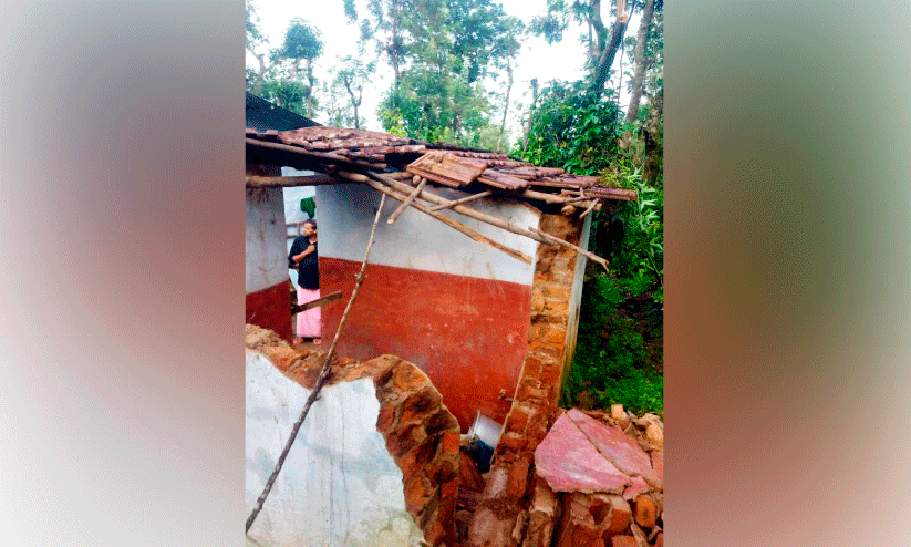 Wild elephant Wild elephant