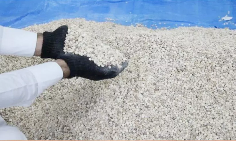 മയക്കുമരുന്ന് വേട്ട: സൗദിയുടെ വിവിധ ഭാഗങ്ങളിൽനിന്ന് നിരവധി പേർ അറസ്റ്റിൽ മയക്കുമരുന്ന് വേട്ട: സൗദിയുടെ വിവിധ ഭാഗങ്ങളിൽനിന്ന് നിരവധി പേർ അറസ്റ്റിൽ