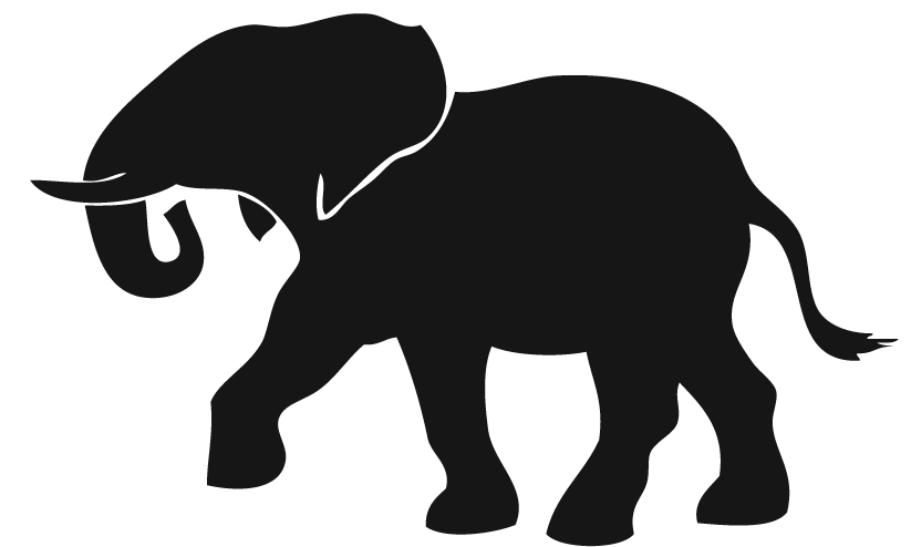 Wild Elephant menace