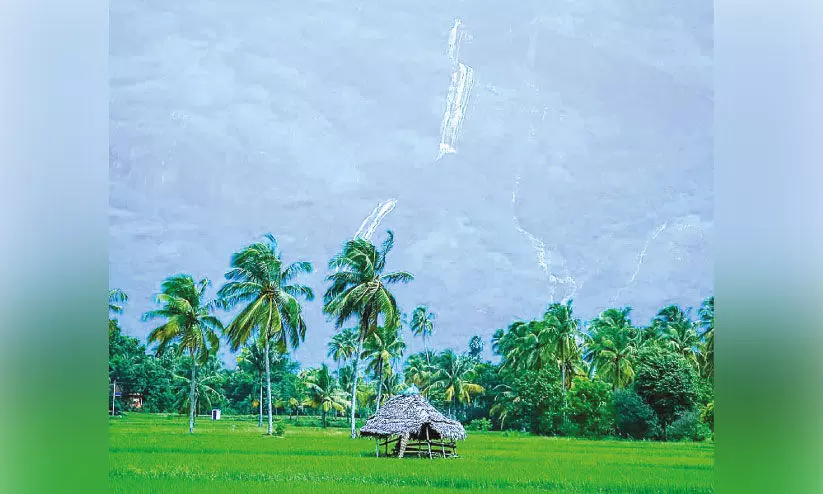 സഞ്ചാരികളുടെ ഒഴുക്ക്; പുലിവാല് പിടിച്ച് കൊല്ലങ്കോട്ടുകാർ സഞ്ചാരികളുടെ ഒഴുക്ക്; പുലിവാല് പിടിച്ച് കൊല്ലങ്കോട്ടുകാർ