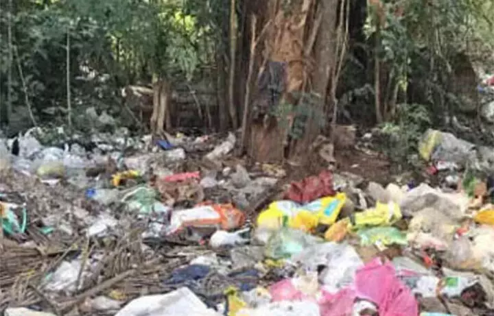 മാലിന്യം തള്ളൽ: കൊച്ചിയിൽ ആറ് കേസ് കൂടി രജിസ്റ്റർ ചെയ്തു മാലിന്യം തള്ളൽ: കൊച്ചിയിൽ ആറ് കേസ് കൂടി രജിസ്റ്റർ ചെയ്തു