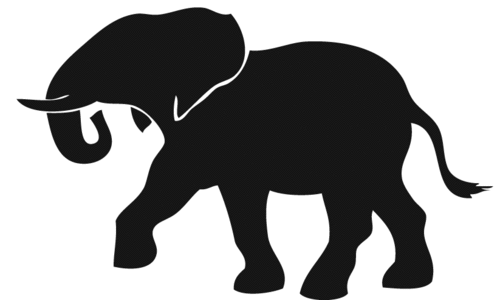 Wild Elephant menace