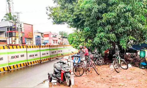 ദേശീയപാതക്കരികിലെ മരം വെട്ടിമാറ്റാതെ നിർമാണ പ്രവർത്തനം: അപകട ഭീഷണി