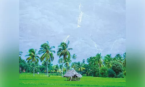 സഞ്ചാരികളുടെ ഒഴുക്ക്; പുലിവാല് പിടിച്ച് കൊല്ലങ്കോട്ടുകാർ