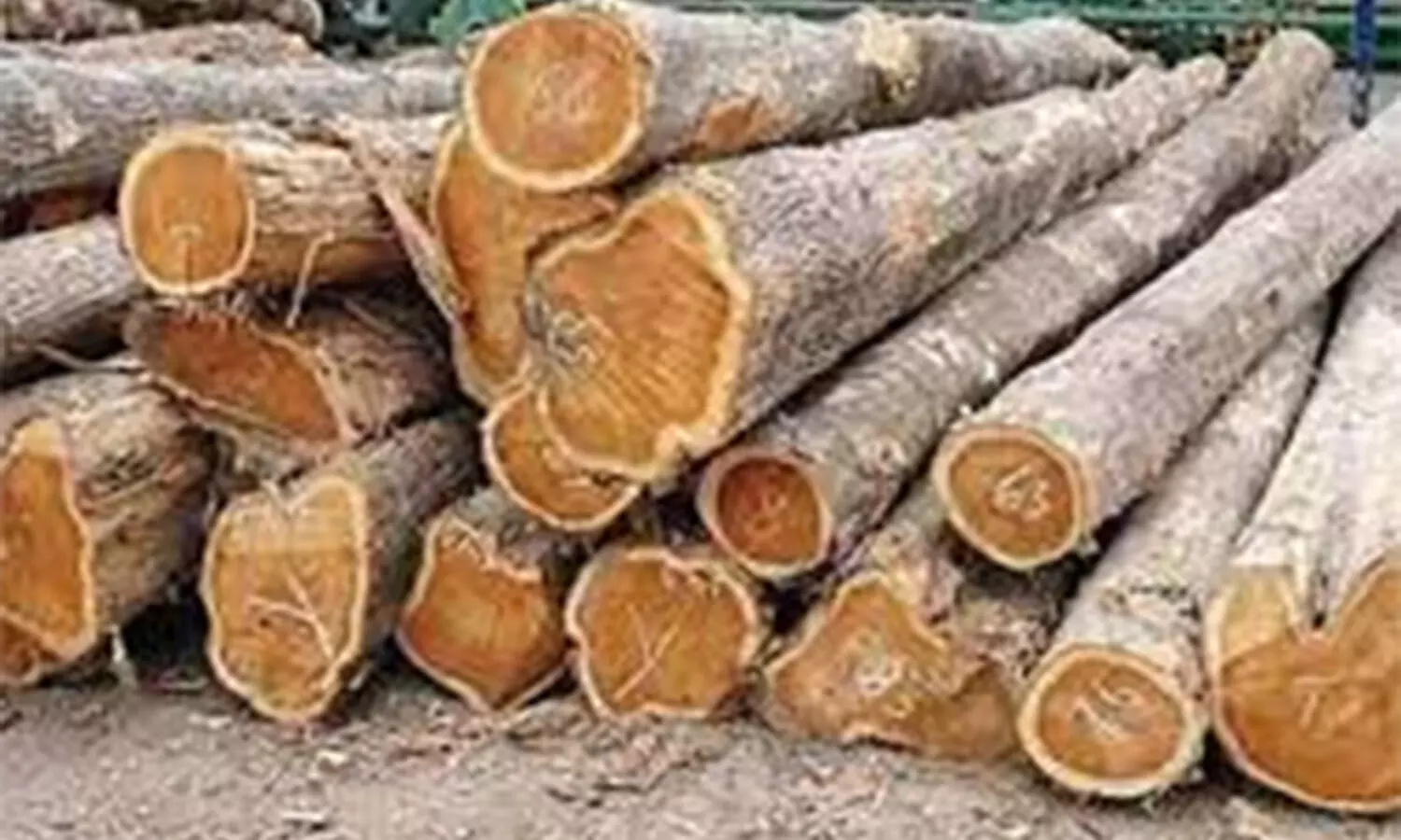 വനം വകുപ്പ് തടി വില്‍പ്പന: ഇ-ലേലം ആഗസ്റ്റില്‍