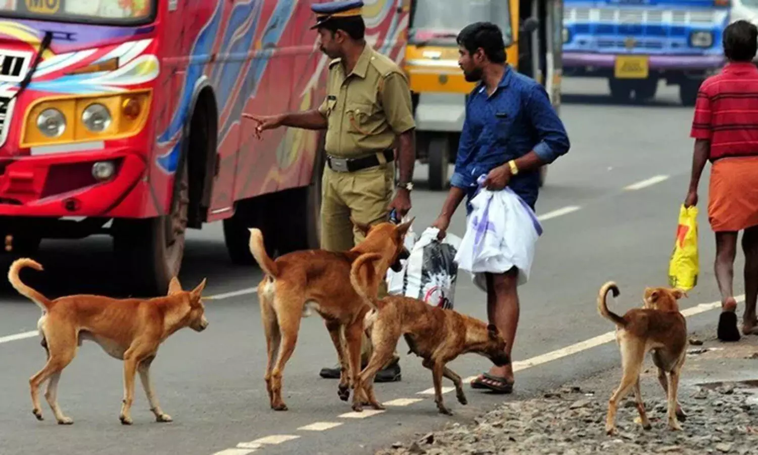 തെരുവു നായ നിയന്ത്രണം: കോലഞ്ചേരിയിൽ എ.ബി.സി കേന്ദ്രം ആരംഭിക്കും
