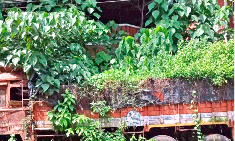 Vehicles seized Vehicles seized