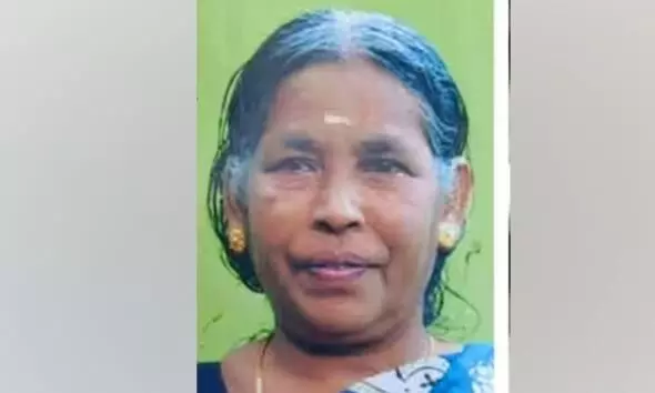 തെരുവുനായയുടെ കടിയേറ്റ് ചികിത്സയിലായിരുന്ന വീട്ടമ്മ മരിച്ചു തെരുവുനായയുടെ കടിയേറ്റ് ചികിത്സയിലായിരുന്ന വീട്ടമ്മ മരിച്ചു