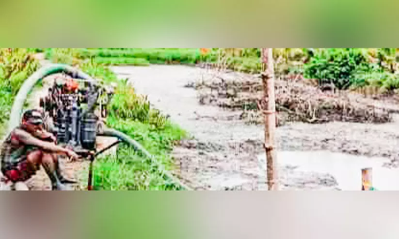 പൊക്കാളിപ്പാടം തരം മാറ്റാനുള്ള ശ്രമം തടഞ്ഞു