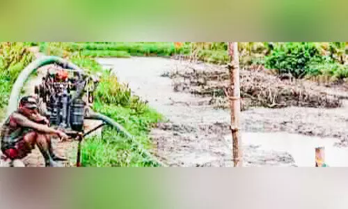 പൊക്കാളിപ്പാടം തരം മാറ്റാനുള്ള ശ്രമം തടഞ്ഞു