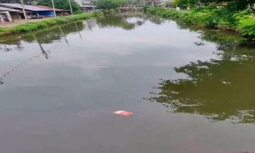 പൂച്ചാക്കൽ തോട് മലിനമാക്കൽ; കർശന നടപടി