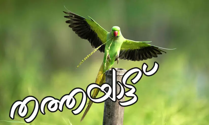 തത്തയാട്ട് -കവിത തത്തയാട്ട് -കവിത