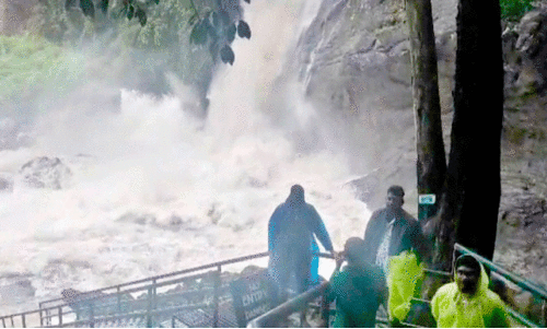 relaxation in restrictions