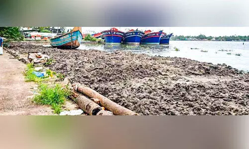 മാല്യങ്കരയിൽ അനധികൃത പുഴ നികത്തൽ;  നിർത്തിവെക്കാൻ ആവശ്യപ്പെട്ട്​ പഞ്ചായത്ത്