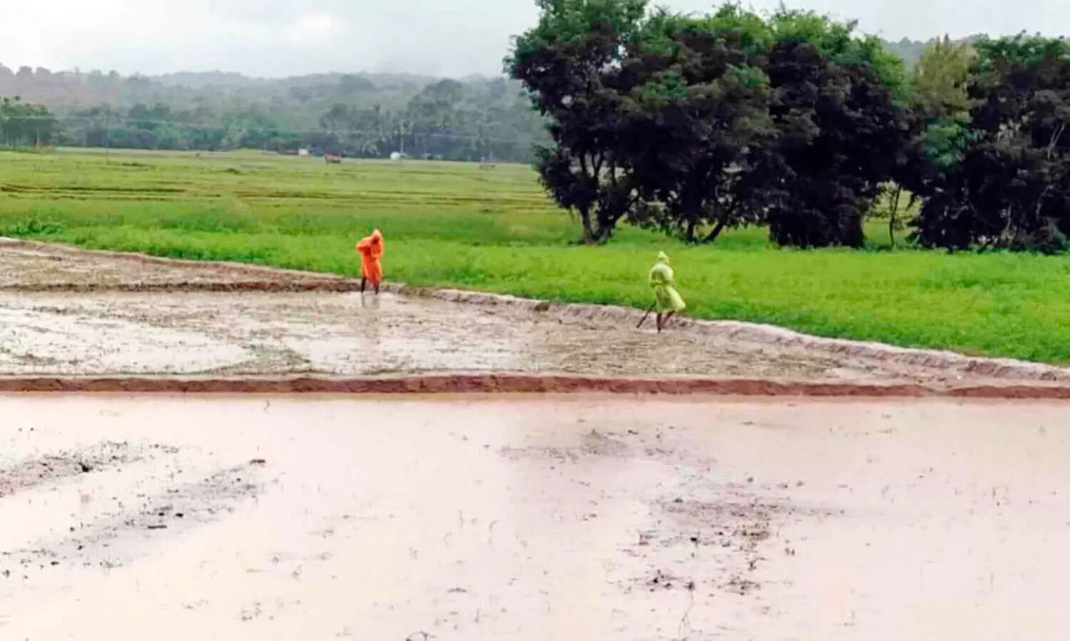 കാലവർഷം ചതിക്കാതിരിക്കട്ടെ; നിലമൊരുക്കി കാത്തിരിപ്പാണ് ചേകാടിയിലെ നെൽകർഷകർ