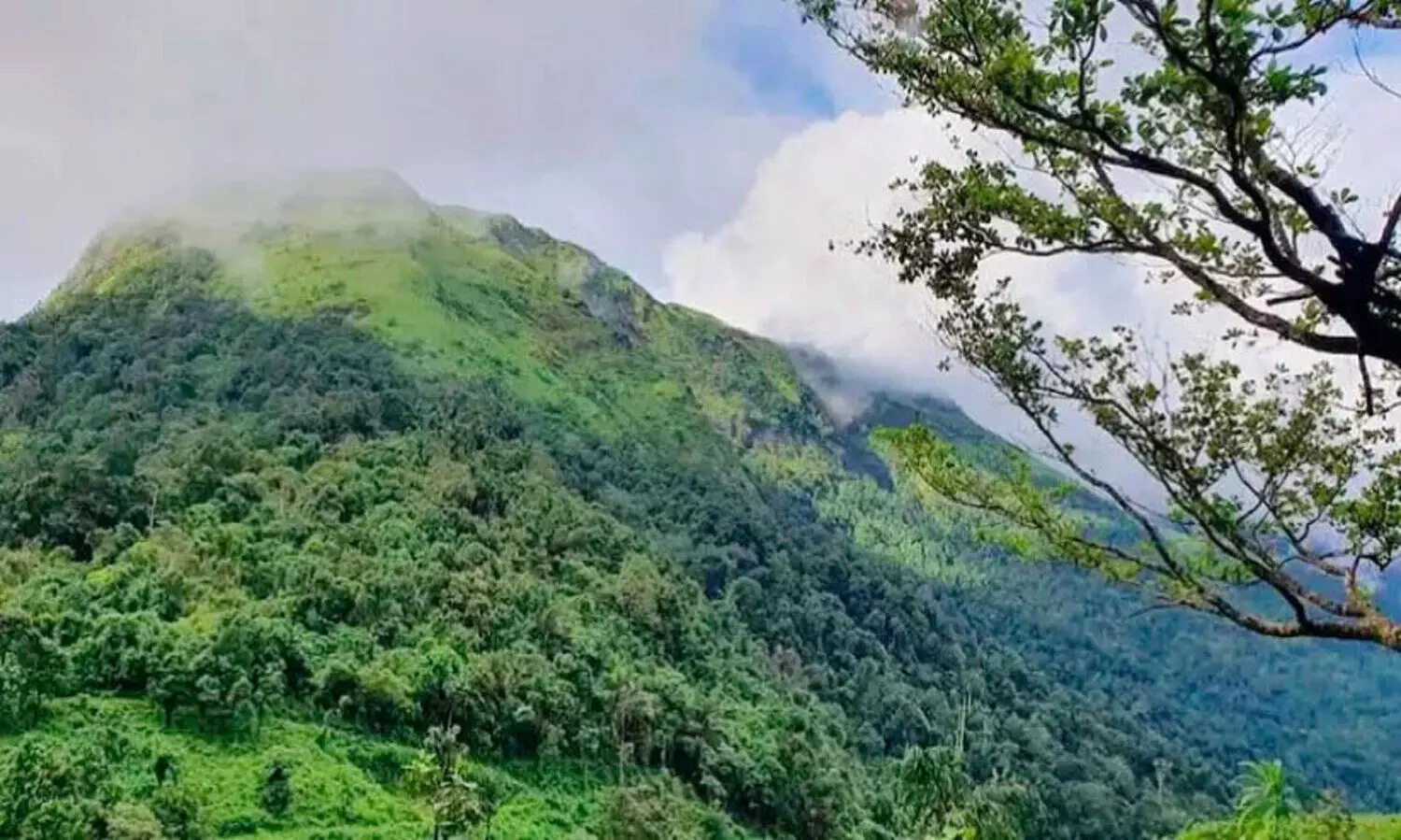 കുട്ടിപ്പുല്ലിൽ രാപ്പാർക്കാം, ഉല്ലസിക്കാം