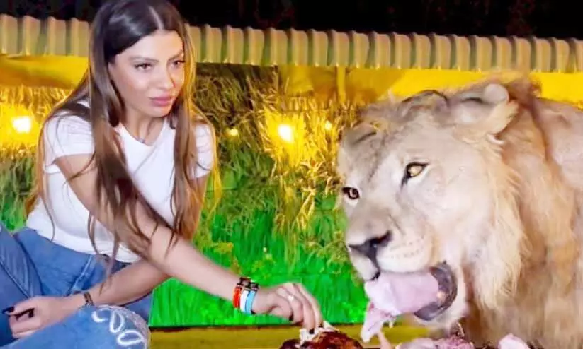 സിംഹവുമൊത്ത് യുവതിയുടെ ശാപ്പാട്; വിഡിയോ വൈറല് സിംഹവുമൊത്ത് യുവതിയുടെ ശാപ്പാട്; വിഡിയോ വൈറല്