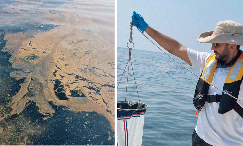 red spot in the sea red spot in the sea