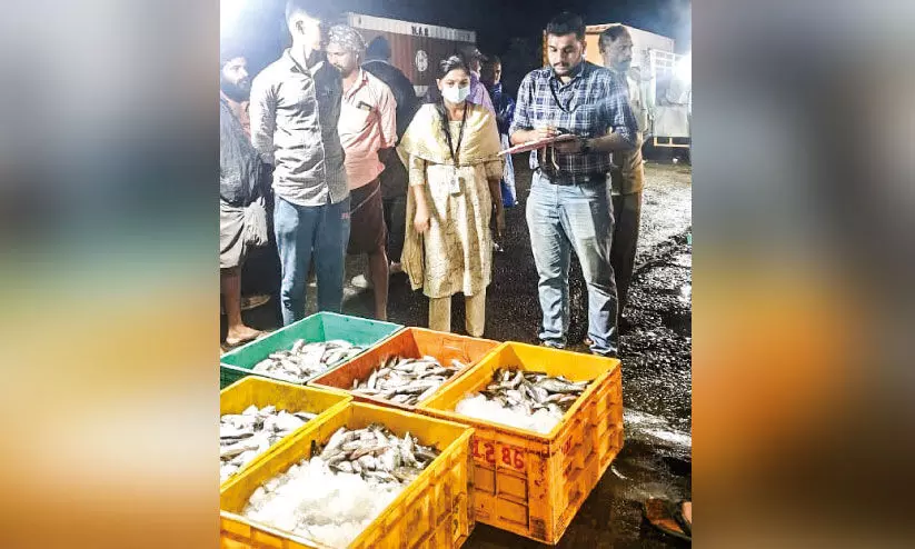 മത്സ്യ മാര്ക്കറ്റുകളില് പരിശോധന; 95 കിലോ പിടികൂടി നശിപ്പിച്ചു മത്സ്യ മാര്ക്കറ്റുകളില് പരിശോധന; 95 കിലോ പിടികൂടി നശിപ്പിച്ചു