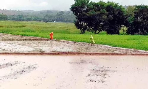 കാലവർഷം ചതിക്കാതിരിക്കട്ടെ; നിലമൊരുക്കി കാത്തിരിപ്പാണ് ചേകാടിയിലെ നെൽകർഷകർ
