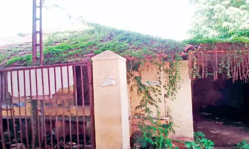 കാ​ടു​ക​യ​റി ആ​ശു​പ​ത്രി കെ​ട്ടി​ട​ങ്ങ​ൾ