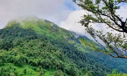 കുട്ടിപ്പുല്ലിൽ രാപ്പാർക്കാം, ഉല്ലസിക്കാം