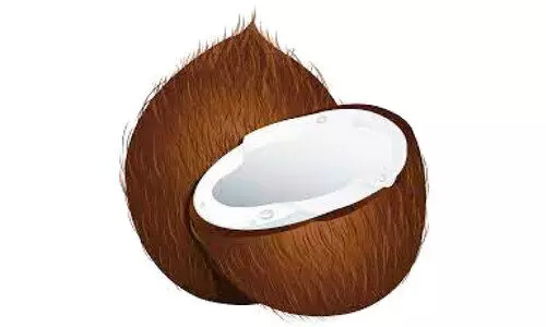 എന്തു തേങ്ങയാണിത് എന്തു തേങ്ങയാണിത്