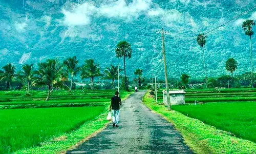 ടൂറിസം വികസനം: ക​ല​ക്ട​റു​ടെ സം​ഘം   ഇ​ന്ന് കൊ​ല്ല​ങ്കോ​ട് സ​ന്ദ​ർ​ശി​ക്കും