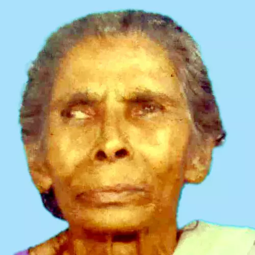 പാ​റു​ക്കു​ട്ടി​യ​മ്മ