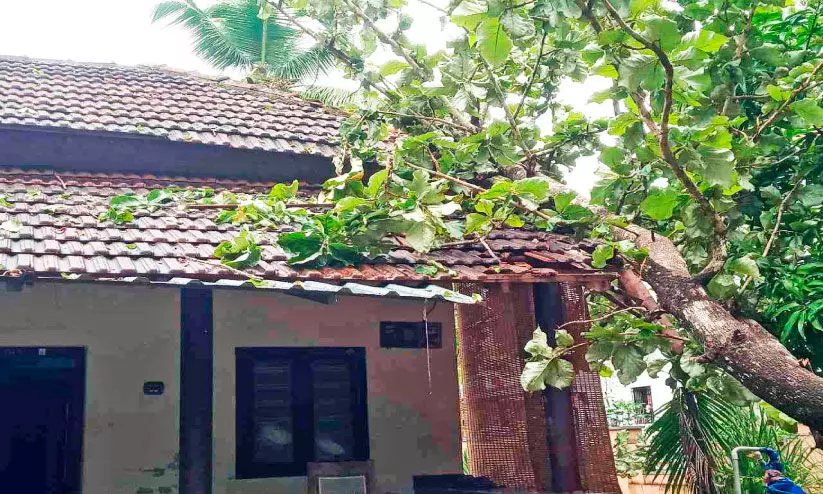 കാറ്റ് വന്ന് മടങ്ങി; പരക്കെ നാശം വിതച്ച്