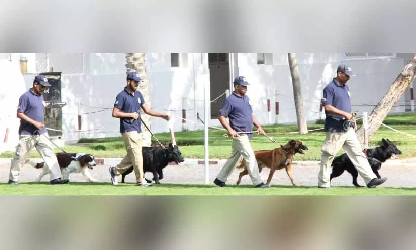 ഇ-ചിപ്പുകള് കണ്ടെത്താൻ പരിശീലനം നേടി പൊലീസ് നായ്ക്കള് ഇ-ചിപ്പുകള് കണ്ടെത്താൻ പരിശീലനം നേടി പൊലീസ് നായ്ക്കള്