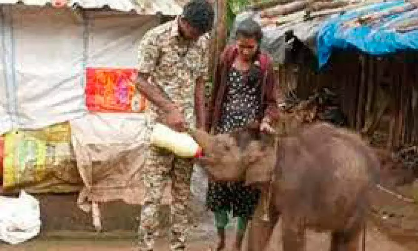 കുട്ടിക്കുറുമ്പുമായി വേദ; സ്നേഹത്തണലൊരുക്കി ദമ്പതികൾ