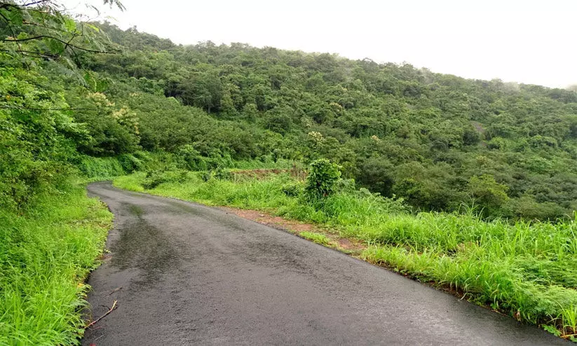 ഓവുചാൽ ഇല്ല; തോടായി മലയോര ഹൈവേ ഓവുചാൽ ഇല്ല; തോടായി മലയോര ഹൈവേ